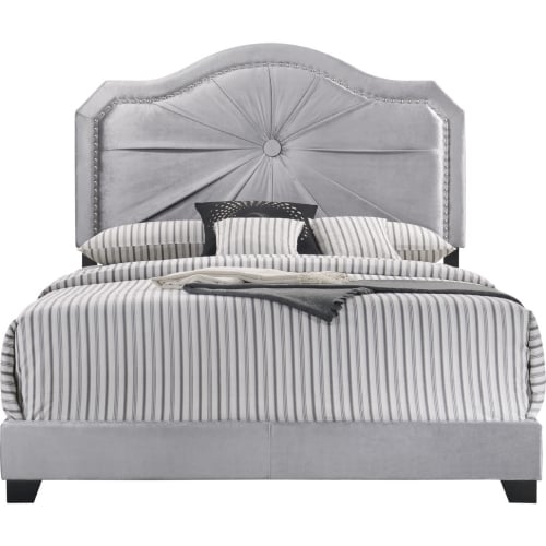 Frankie Queen Bed in Gray Velvet