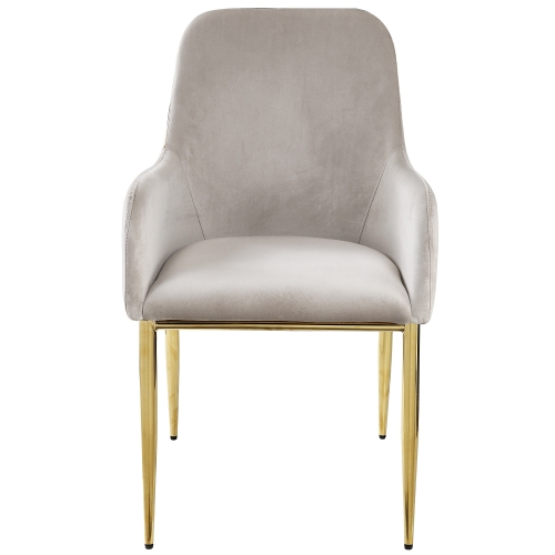 Barnard Dining Chair in Gray Velvet & Gold Metal (Set of 2)