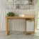 Kathy 47" Writing Desk in Wood and White PVC Laminate