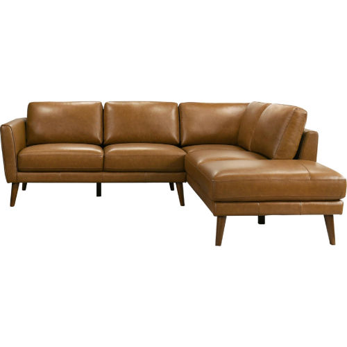 Benson Sectional Sofa with Right Facing Chaise in Tan Leather