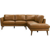 Benson Sectional Sofa with Right Facing Chaise in Tan Leather