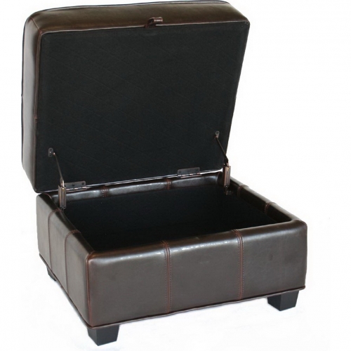 Agustus Storage Ottoman in Dark Brown Leather