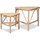 Jayden 2 Piece End Table Set in Natural Brown Finish Rattan