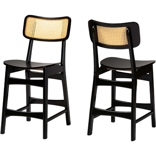 Tafari Counter Stool in Dark Brown Finish Wood & Rattan (Set of 2)