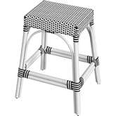 Robias 24.5" Counter Stool in White PE Rattan