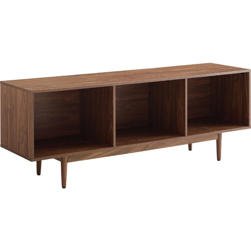 Liam Large Record Storage Console Cabinet in Walnut Finish