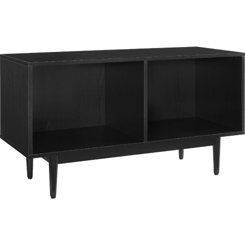 Liam Medium Record Storage Console Cabinet in Black Finish