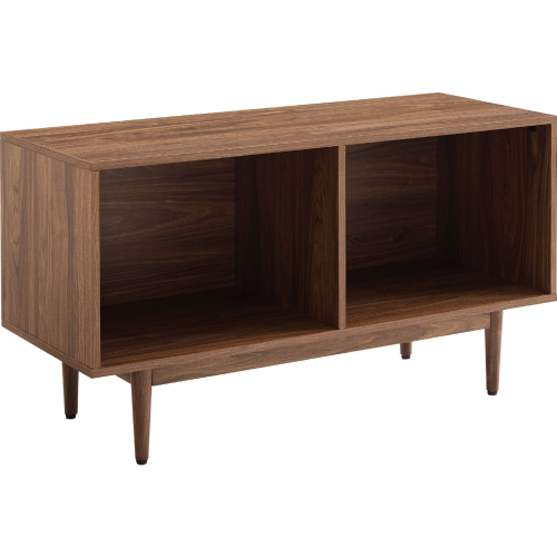 Liam Medium Record Storage Console Cabinet in Walnut Finish