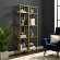 Aimee Etagere Bookcase in Gold Steel & Glass (Set of 2)