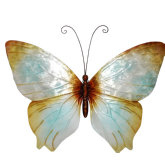 Butterfly Wall Decor in Pearl