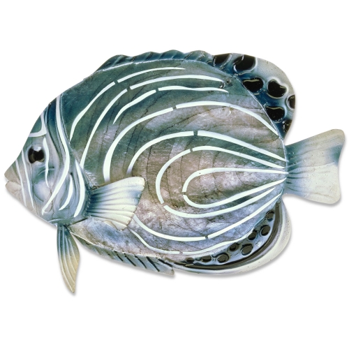 Koran Angelfish Wall Decor in Multicolor Capiz & Metal