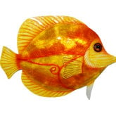 Discus Fish Wall Decor in Orange Capiz & Metal