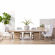 Tapestry Dining Chair in Taupe & White Rope & Grey 6850.WTA/PUM/NG (Set of 2)