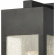 Angus 13"H 1 Light Outdoor Wall Sconce in Charcoal Metal & Heavy Seeded Glass