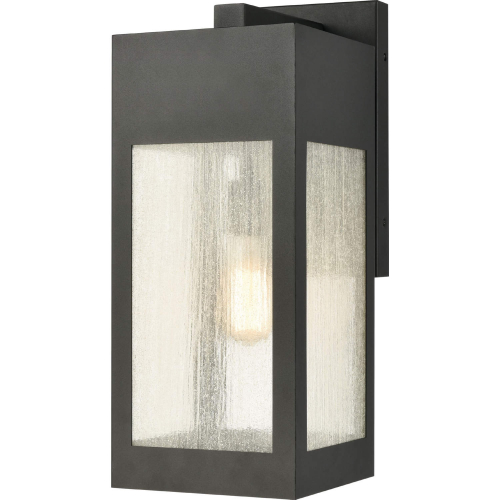 Angus 20"H 1 Light Outdoor Wall Sconce in Charcoal Metal & Heavy Seeded Glass