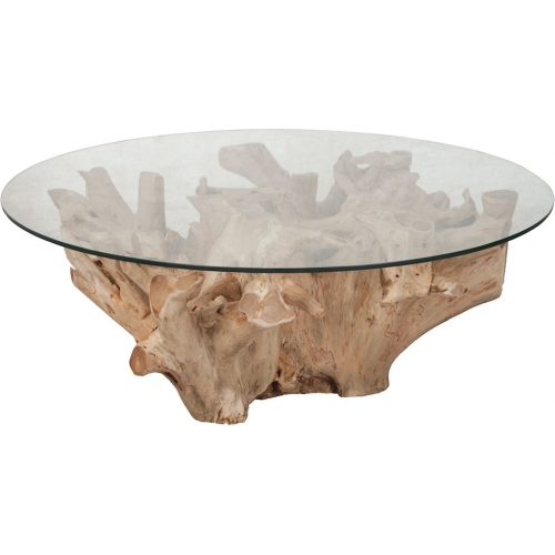 Teak Root Coffee Table in Natural Root