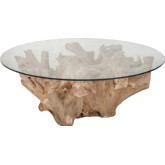 Teak Root Coffee Table in Natural Root