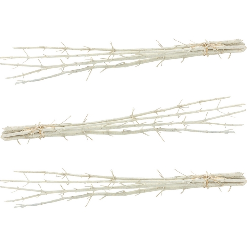 White Mulberry Stick Bunch (Set of 3)