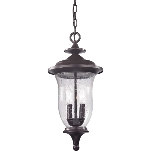 Trinity 9"W 2 Light Outdoor Pendant in Oil Rubbed Bronze & Seeded Glass