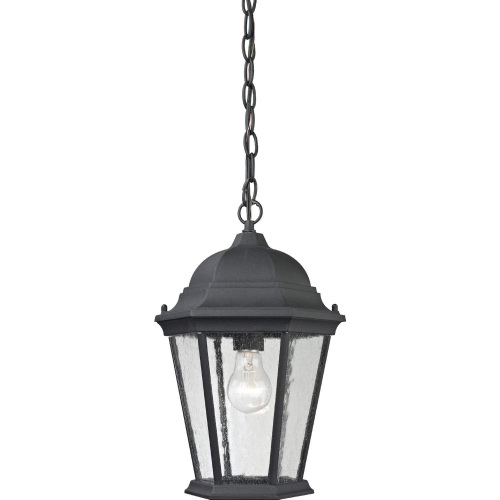 Temple Hill 10"W 1 Light Outdoor Pendant in Textured Black Metal & Clear Glass