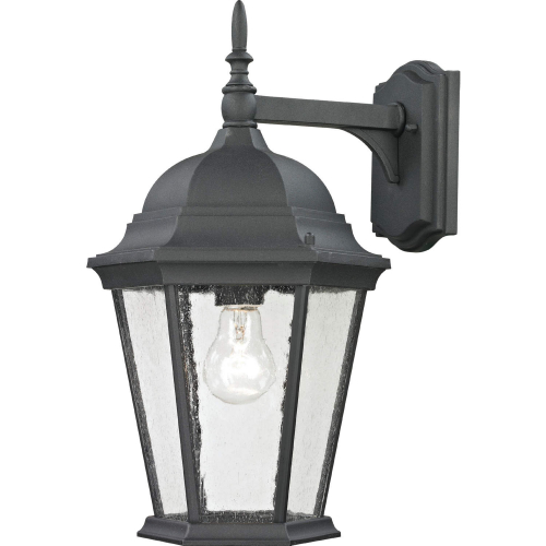 Temple Hill 18"H 1 Light Outdoor Wall Sconce in Textured Black Metal & Clear Glass