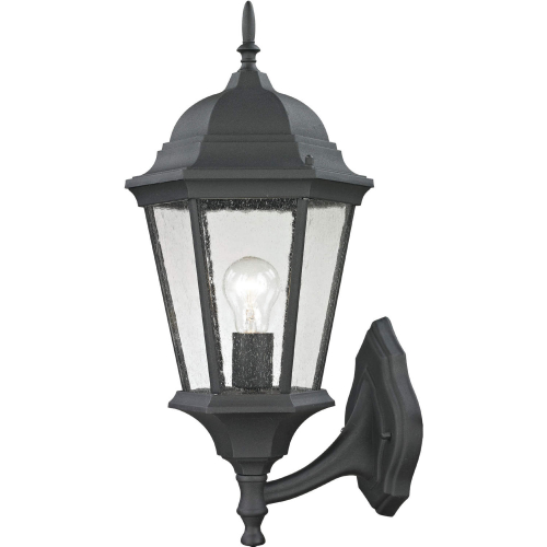 Temple Hill 21"H 1 Light Outdoor Wall Sconce in Textured Black Metal & Clear Glass