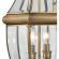 Ashford 10"H 2 Light Outdoor Wall Sconce in Antique Brass & Glass
