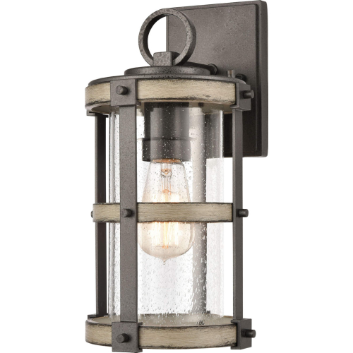 Annenberg 1 Light Outdoor Sconce in Anvil Iron, Distressed Gray & Seed Glass