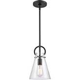 Gabby 7"W 1 Light Ceiling Pendant Light in Black Metal & Clear Glass