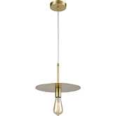 Sunscreen 1 Light Ceiling Pendant Light in New Aged Brass