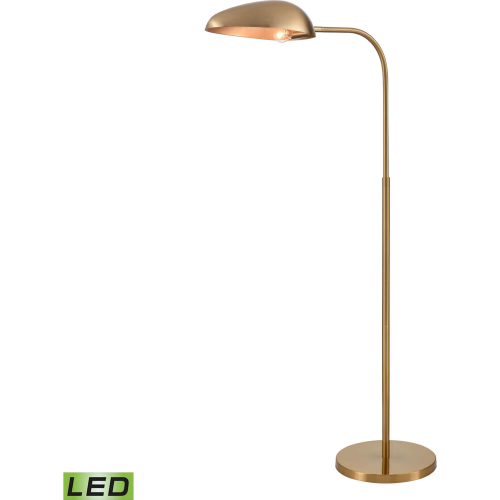 Alda 53.5"H 1 Light Floor Lamp in Aged Brass (Includes LED Bulb)