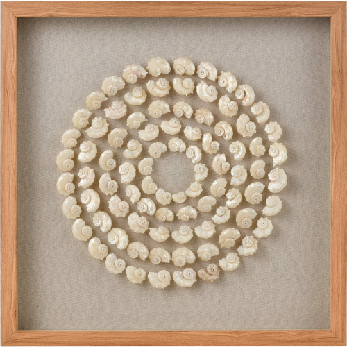 Concentric Shell Dimensional Wall Art in Shell, Linen & Wood