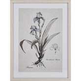 Iris Botanic Framed Wall Art in Cream, Off White Canvas & Glass