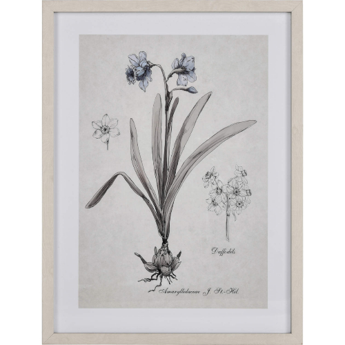 Daffodil Botanic Framed Wall Art in Cream Off White Canvas