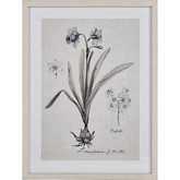 Daffodil Botanic Framed Wall Art in Cream Off White Canvas