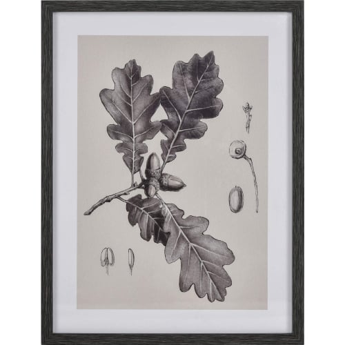 Oak II Botanic Framed Wall Art in Black & Multicolor