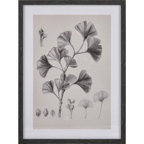 Ginkgo Botanic Framed Wall Art in Ivory & Black Canvas & Glass