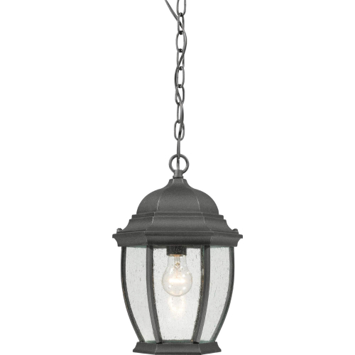 Covington 9.5"W 1 Light Outdoor Pendant in Black Metal