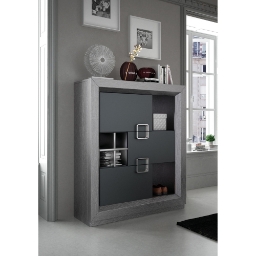 Enzo Display Unit Cabinet in Oak Veneer & Grey