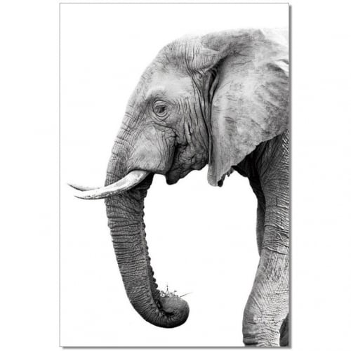 Tusk Wall Art in Black & Grey