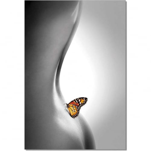 Butterfly Wall Art in Black, White & Orange