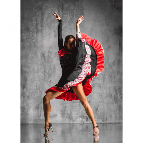 Flamenco Wall Art in Red, Black & Grey