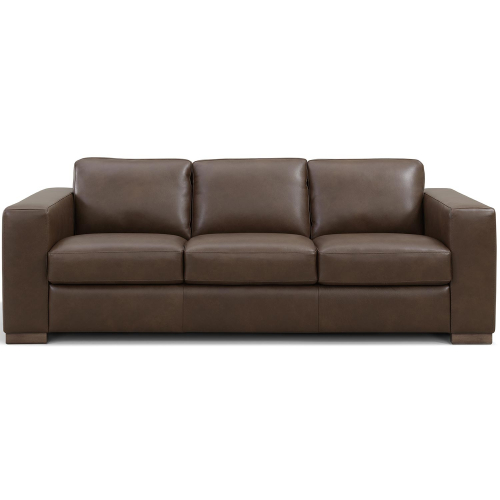 Inglewood Queen Sleeper Sofa in Vintage Cigar Brown Top Grain Leather