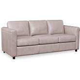 Waltz Sofa in Stone Leather