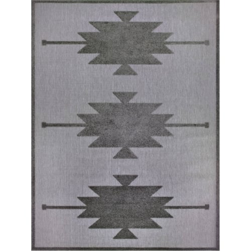 Tegan Southwestern Indoor Outdoor Area Rug Rectangle 4' x 6' in Gray