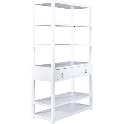 East End Accent Bookcase in Brushed White Finish