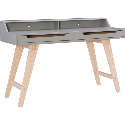 Shivley 2 Drawer Desk In Gray & Natural Wood