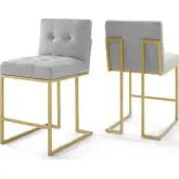 Privy Counter Stool in Light Gray Fabric & Gold Stainless (set of 2)