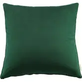 Enhance 24" Throw Pillow in Green Velvet