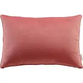 Enhance 24" Lumbar Throw Pillow in Blossom Velvet